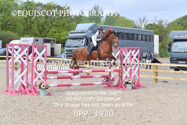 BPP_3930 - CLASS 2  Club/ Unaffiliated 80cms Open