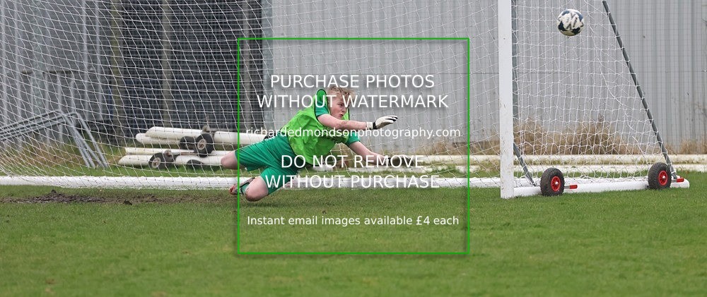 533A6261 - Lonsdale Terriers