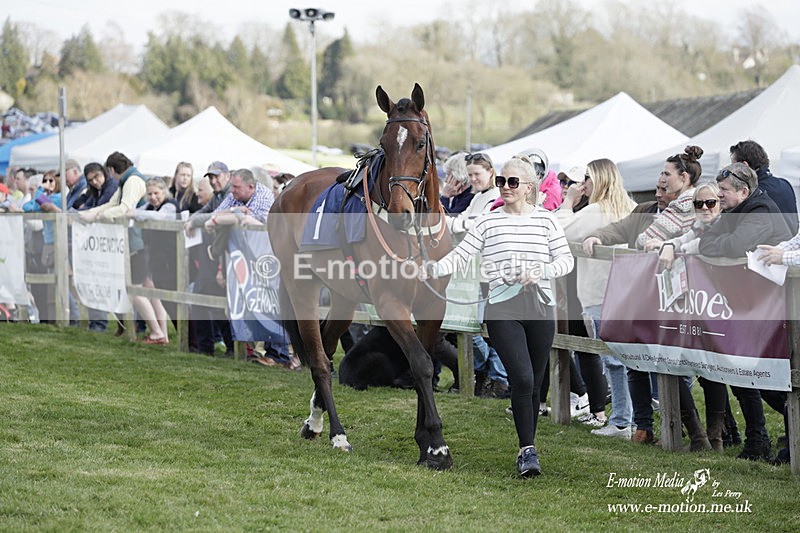 PtP 080423 448 - Dingley Races The Woodland Pytchley Hunt PtP 08/04/23