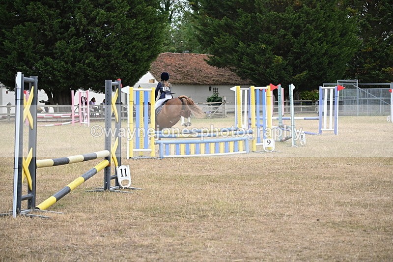 WJ6_0822 - Class 14 Intermediate Jumping 75cm
