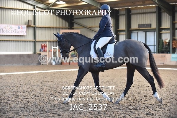 JAC_2537 - CLASS 4 NOVICE 3