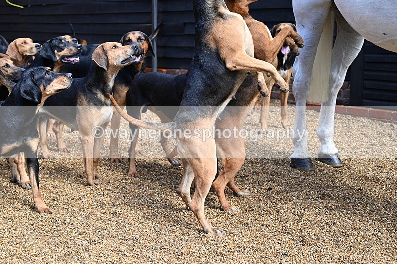 WJ7_7045 - Berks & Bucks at Blandy’s Farm 31-08-25