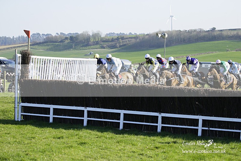 PtP 190322 680 - Wilton Hunt PtP Milborne St Andrew 19/03/22