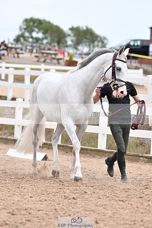 250716-154958-02211 - Trot Up 3.30 to 4.30