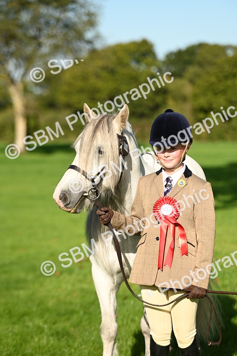 SBM_15800 - S1 - TSR in Hand Horse & Pony Showing