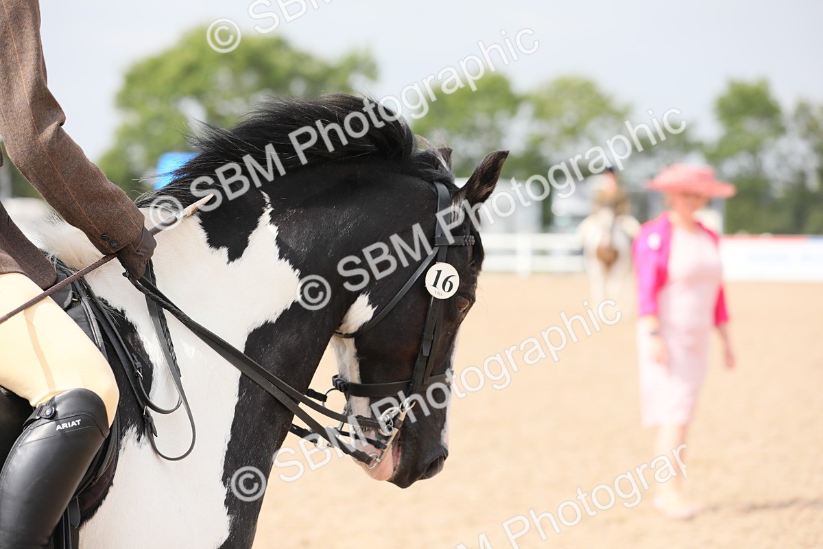 SBM_12786 - Class 307 Ridden Coloured Pony