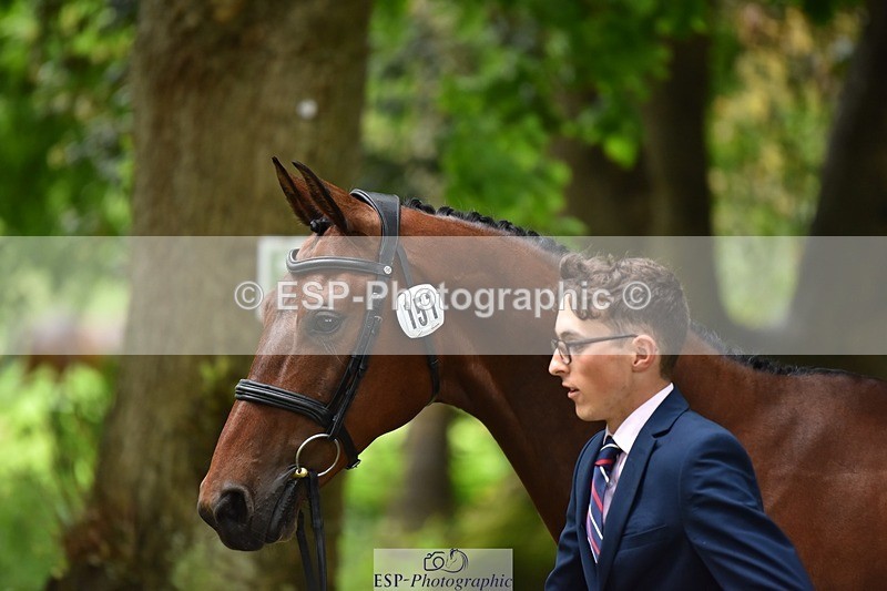 240522-160400-00690 - 151-GEORGINA_W-Elizabeth_Barratt