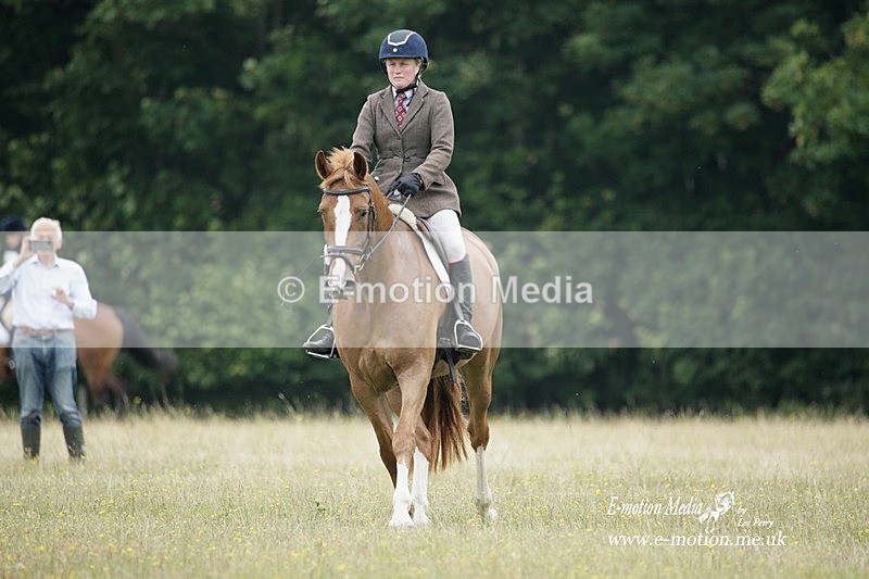 BVRC 030721 14 - Bourne Valley Riding Club Dressage 03/07/21
