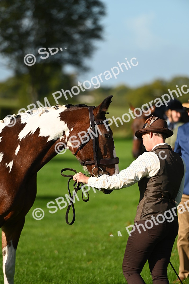 SBM_14789 - S1 - TSR in Hand Horse & Pony Showing