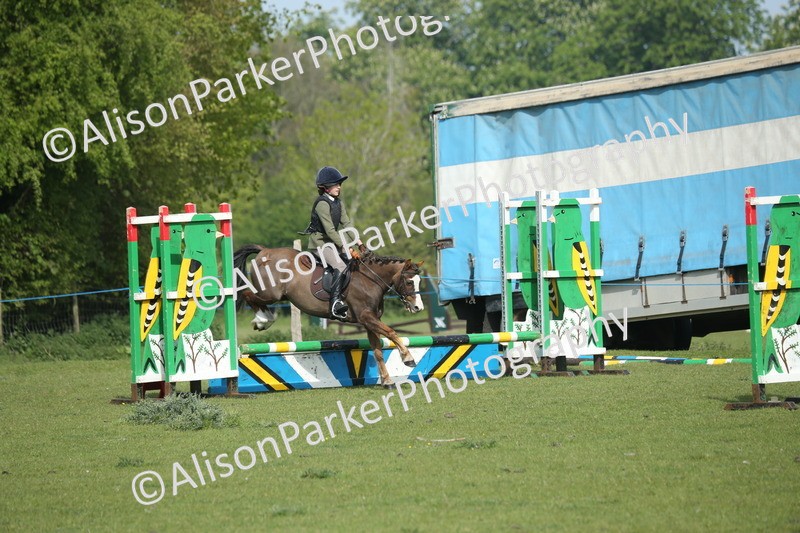 20260426-0225 - Class 13 - Rookie Jumping 50cm