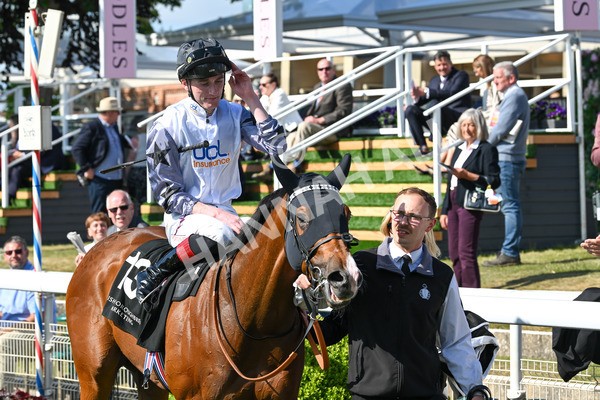 160525-Race 5-The Man-7099 - Race 5 4.15pm Irish Thoroughbred Marketing Handicap
