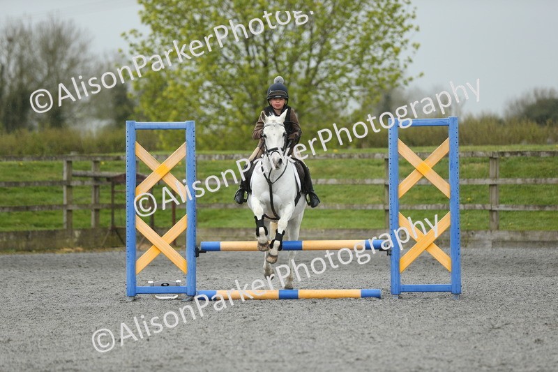 20260412-1871 - Show Jumping