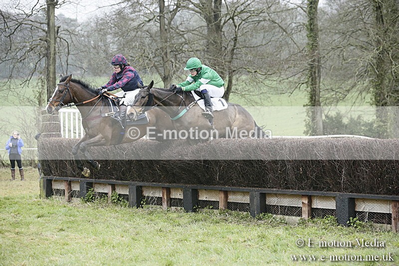 PtP 020418 -220 - Old Berks Point-to-Point Races Easter Monday 02/04/18