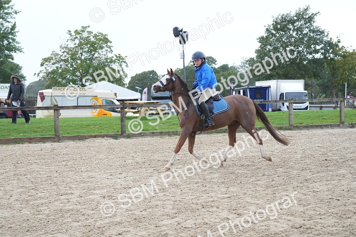 SBM_00194 - J53 - Clear Round 40cm