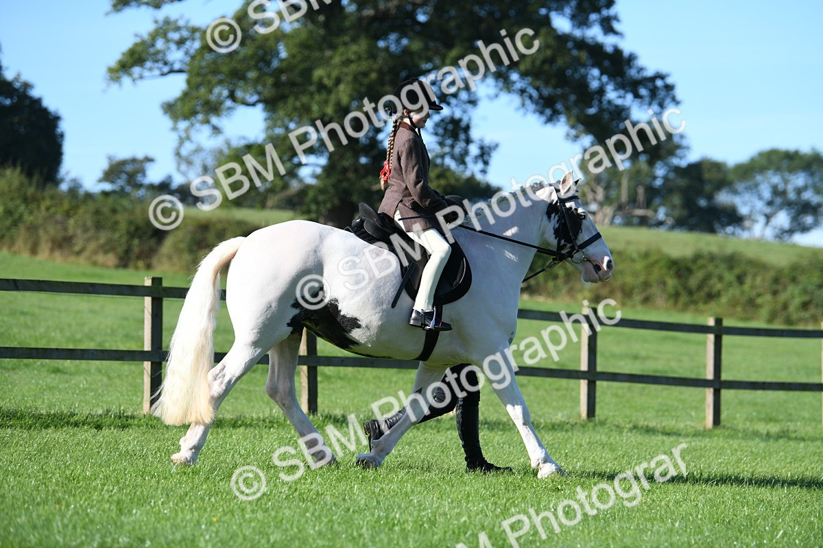SBM_35318 - S17 - Condition & Turnout - Lead Rein