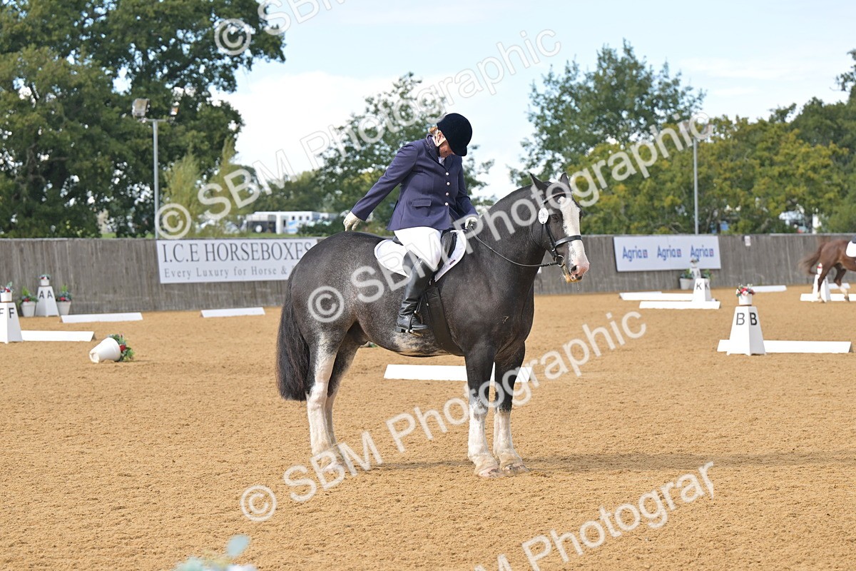 SBM_09292 - D8 - Small Tour Championship Prelim 1