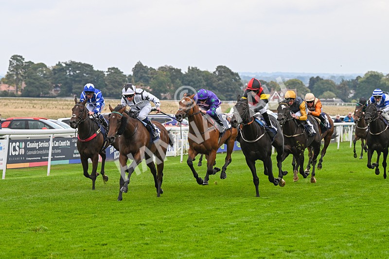 240924-Race 3-Nala Star-6100 - Race 3