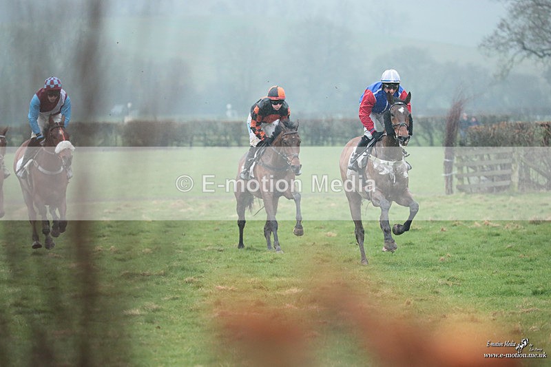 PtP 100324 814 - Pytchley with Woodland Point-to-Point Guilsborough 10/03/24