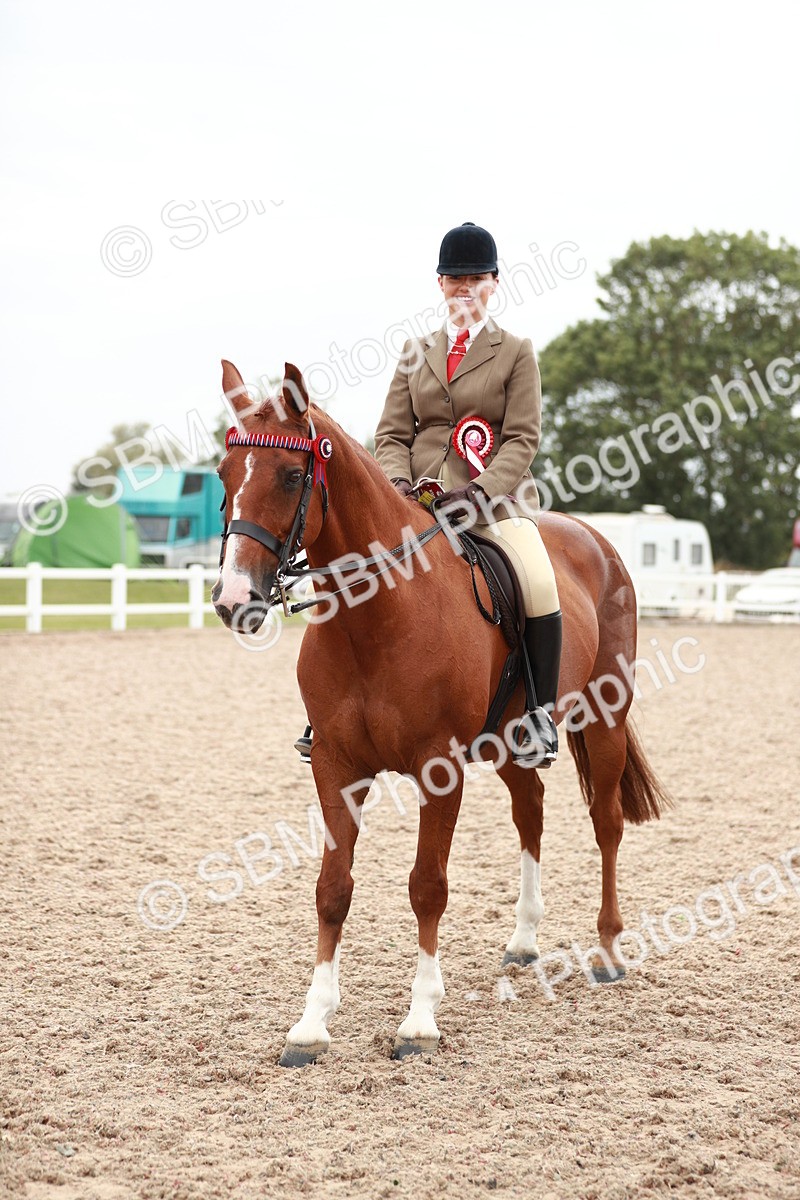 SBM_17628 - Class 215 Ridden Hack/ Riding Horse