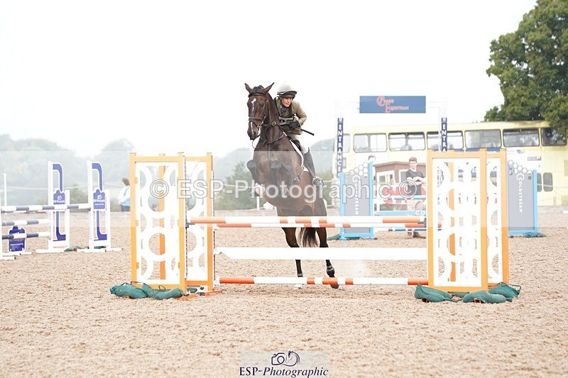 240901A-092008-05305 - 302-Rosie.Bradley-Hole-CAPABILITY.BROWN.II