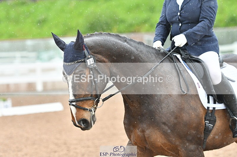 230511A-135034-00851 - BD Cls 13 Adv Medium 91