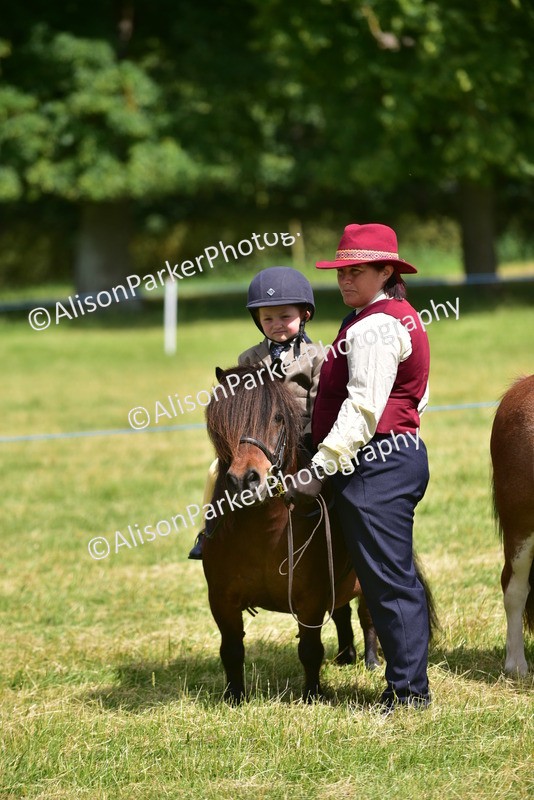 20260614-1206 - Class 11a - Lead Rein Pony (Unplaited)