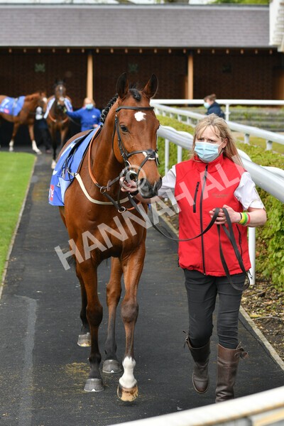 yr12052021r1-2 - Race 1 1.40pm Sky Bet Race to the Ebor Jorvik Stakes