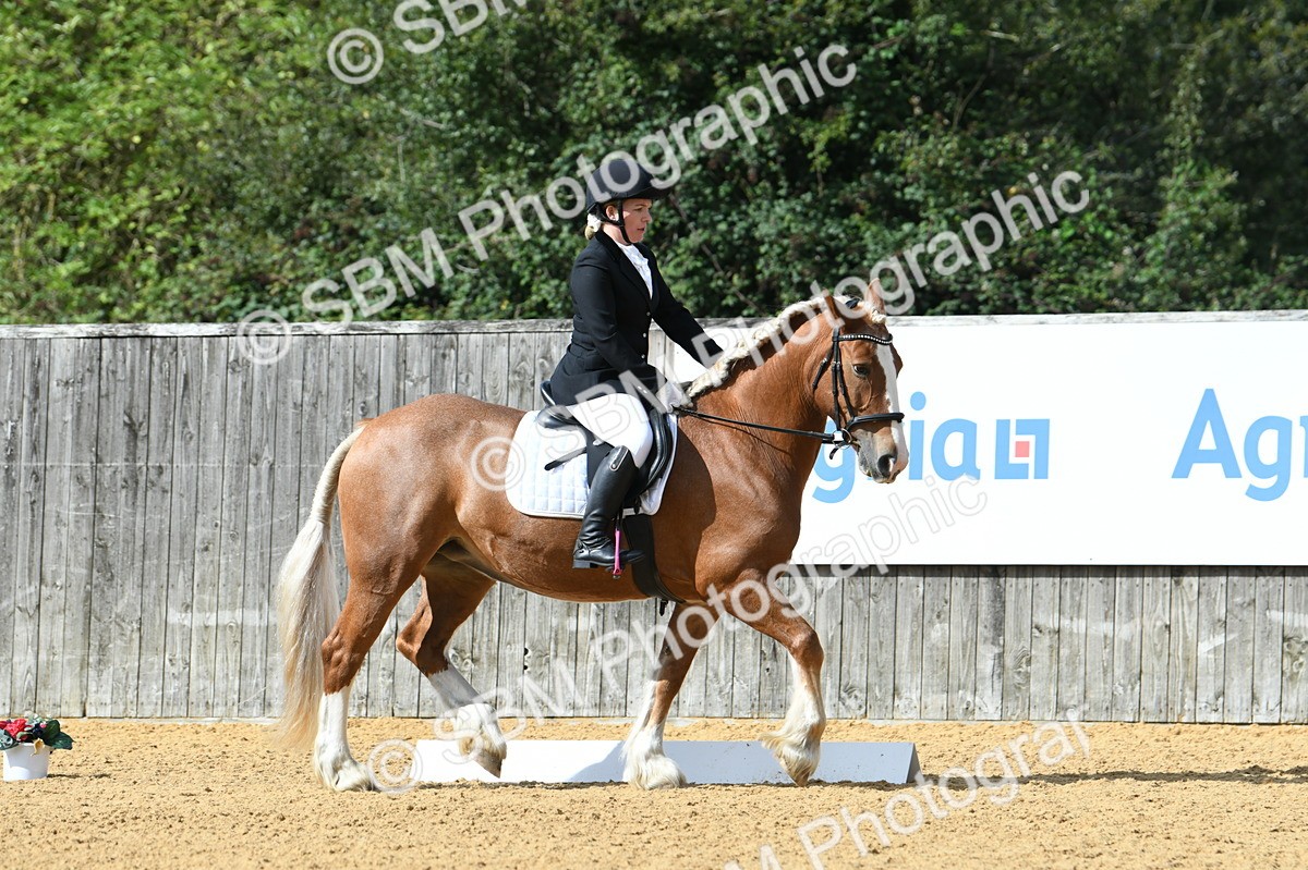 SBM_03124 - D7 Small Tour Championship Prelim 1