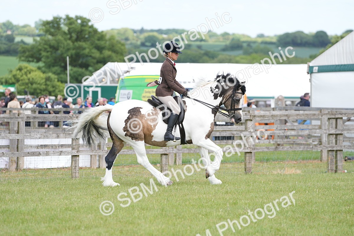 SBM_17223 - Class 107-108 - LIHS BSPS Performance Coloured Horse Pony