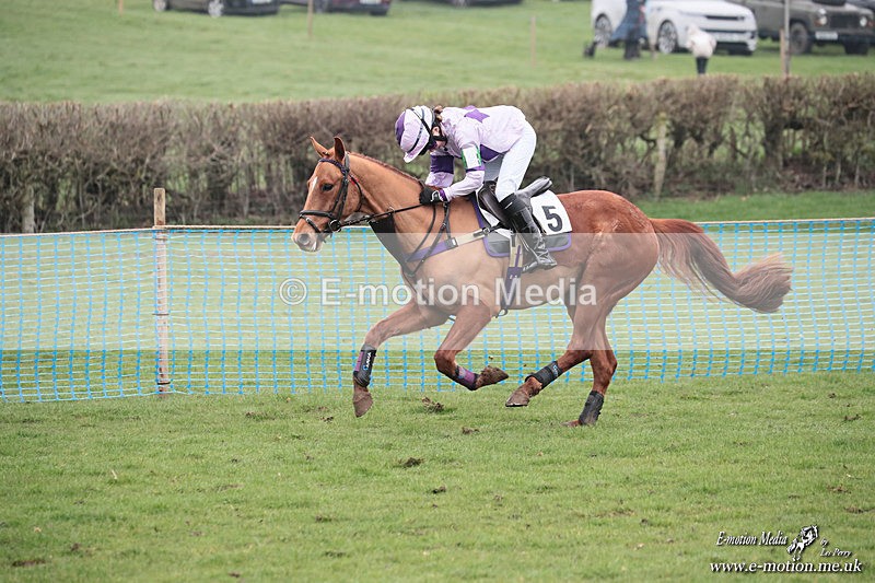 PR PtP 080326 457 - Guilsborough Pony Races 08/03/26