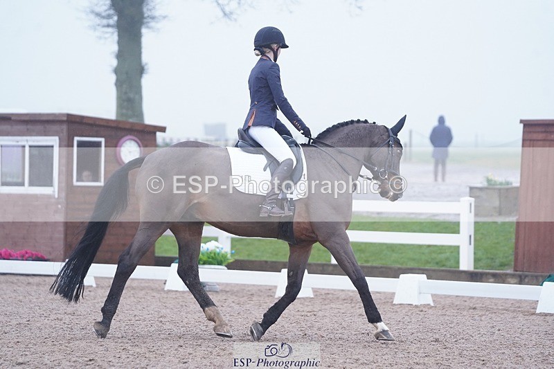 250215-103324-02819 - 143-Charlie.Cornish-Dali.Van.Het.Burghof.Z