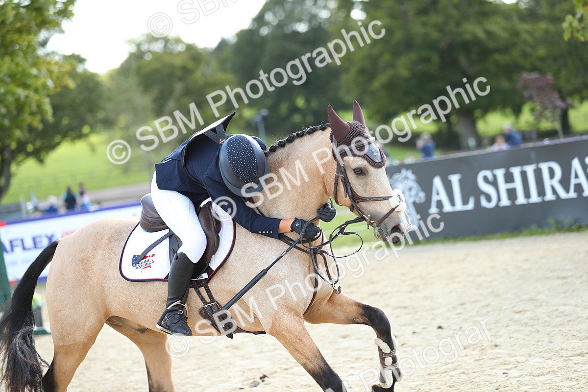 SBM_25717 - J46 - Accumulator 80 90cm