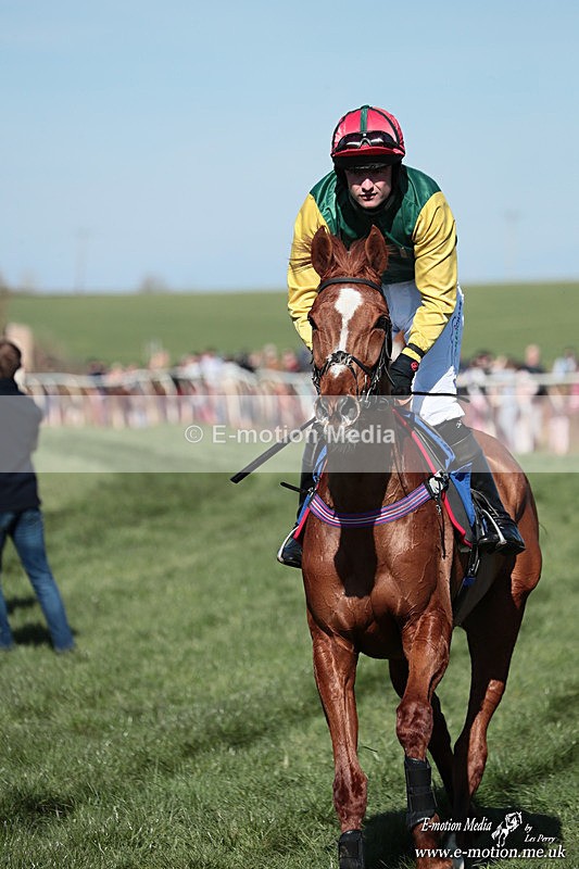 PtP 210326 136 - VWH Cirencester Races 21/03/26