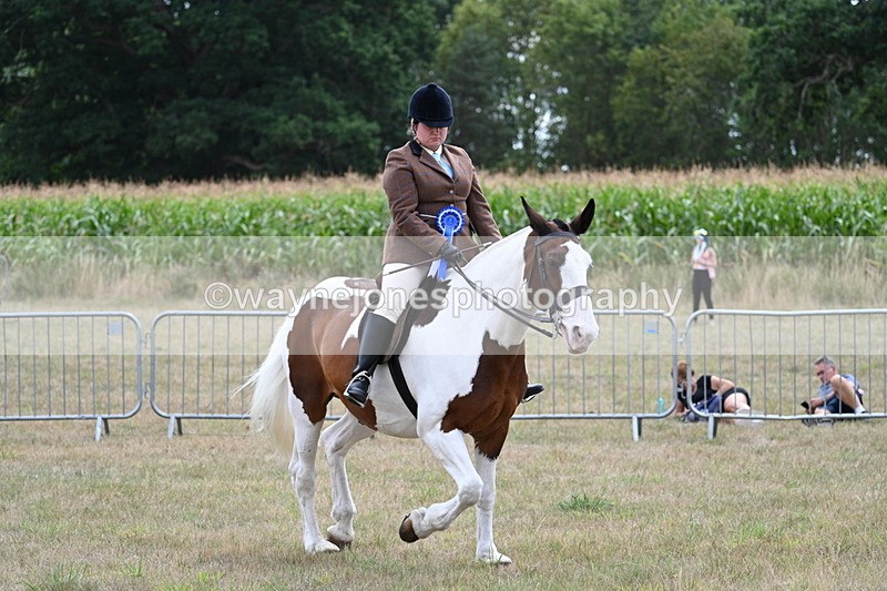 WJ7_5678 - Class 12 Ridden Cob