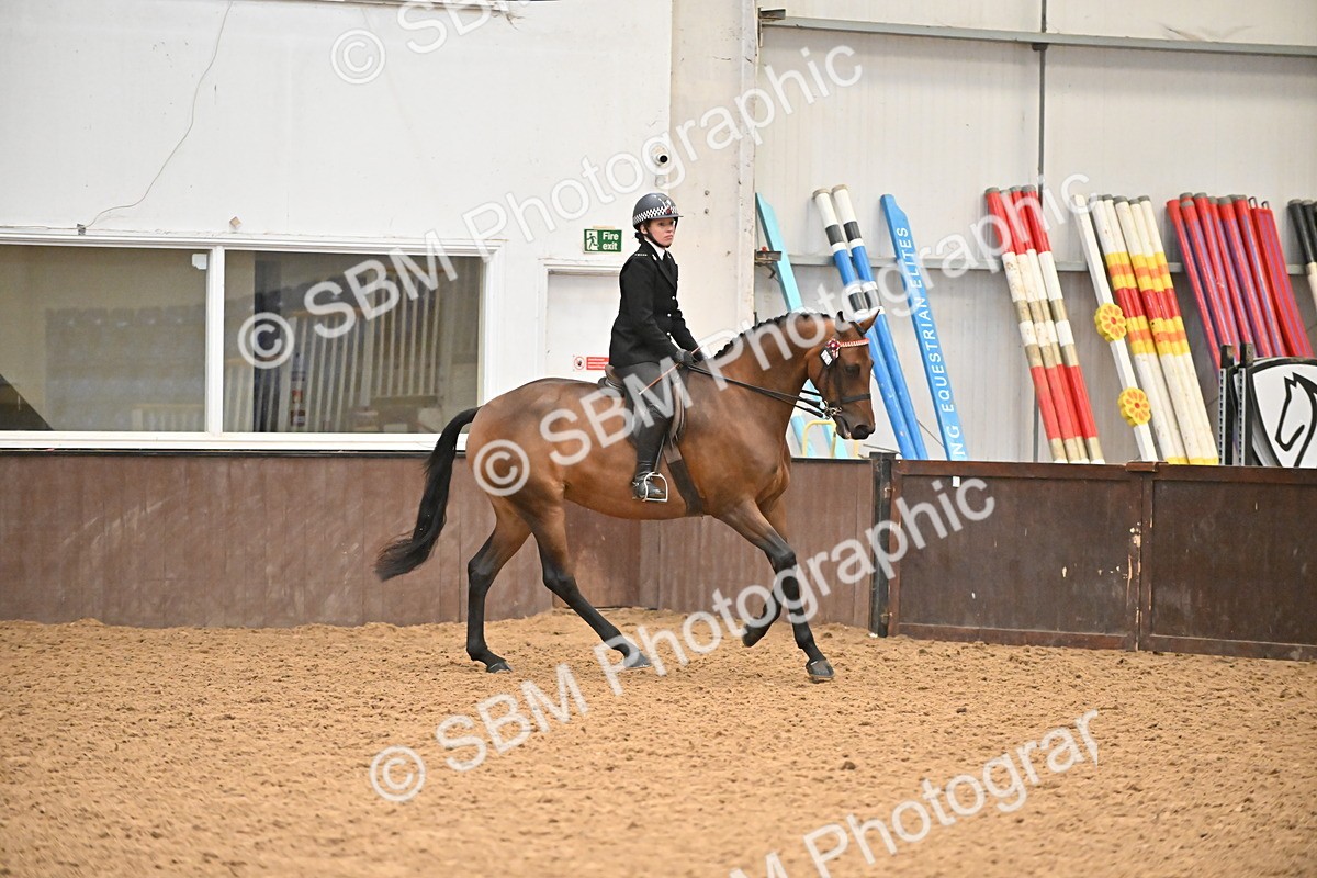 SBM_002369 - Class 22 - BSHA Ridden Hack & Riding Horse
