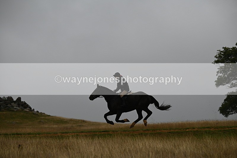 DSC_1449 - Time at Statue 11:54 to 12:12