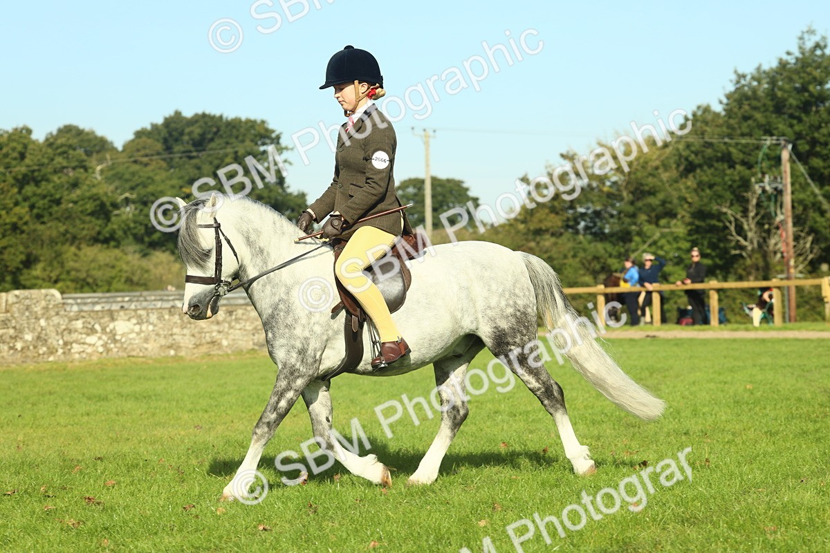 SBM_59888 - S38 - Starters Ridden Showing