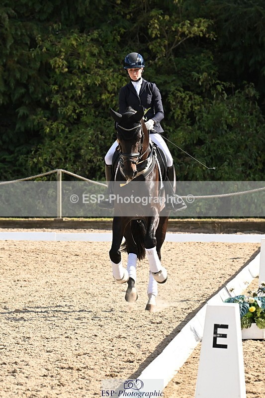 250808A-170438-02245 - Preliminary GOLD Presentations