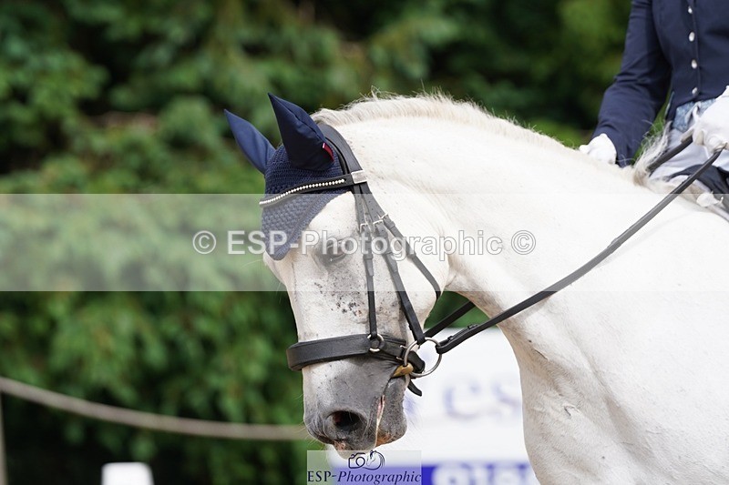 240721-154552-10149 - 173-Polly_Vogel-Loughamore_Lady