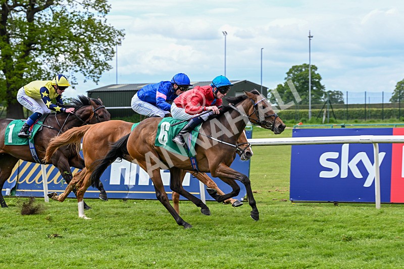 160526-Race 3-Caraway-9550 - Race 3 3.00pm Metaxas Handicap
