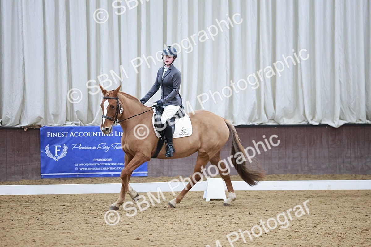 SBM_004648 - Ring 3 - International -  Working Hunter Classes 23-2-25