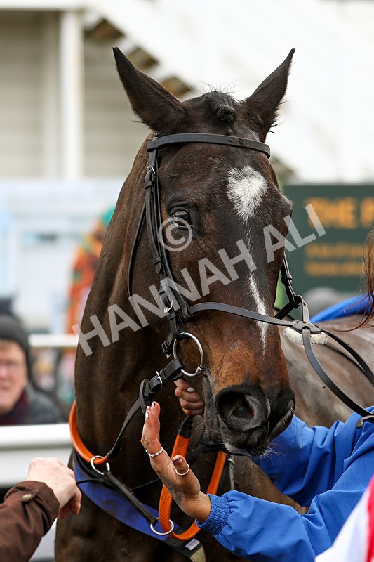 020224-Race 2-Onenightintown-6724 - Race 2