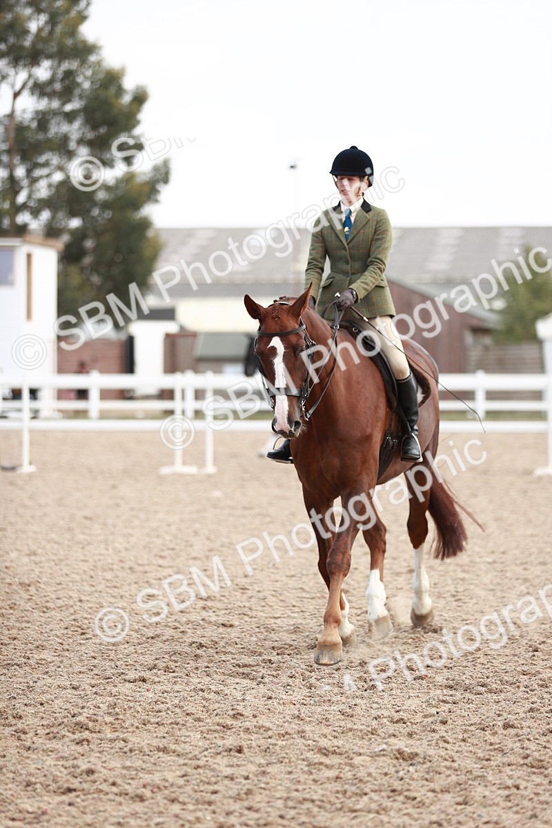 SBM_15535 - Class 213 Ridden Hunter -Large