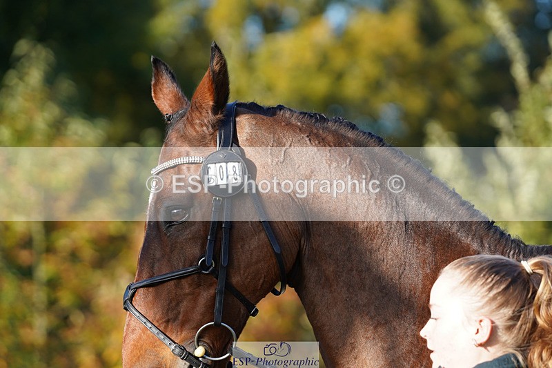 241026-100124-11549 - 008-Charlie.Piper-ZADOK.D