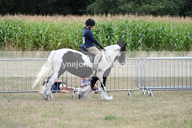 WJ7_5356 - Class 12 Ridden Cob