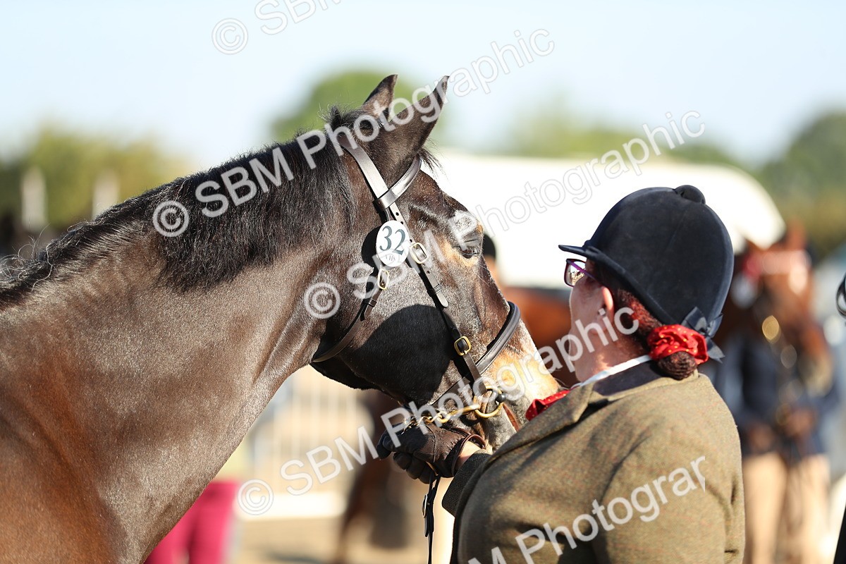 SBM_00022 - Class 40 Best Turned Out IH