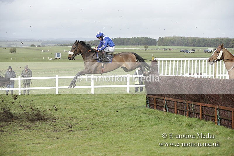 PtP 150320 0395 - New Forest Point-to-Point Larkhill 15/03/20