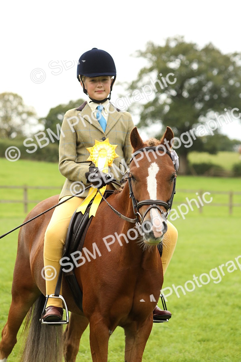 SBM_71419 - S41 - Ridden Equitation (Best Rider)