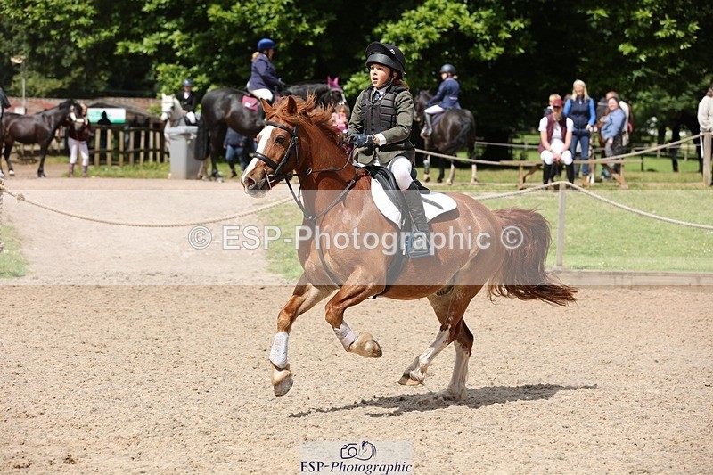 240616-111810-03443 - 60cm