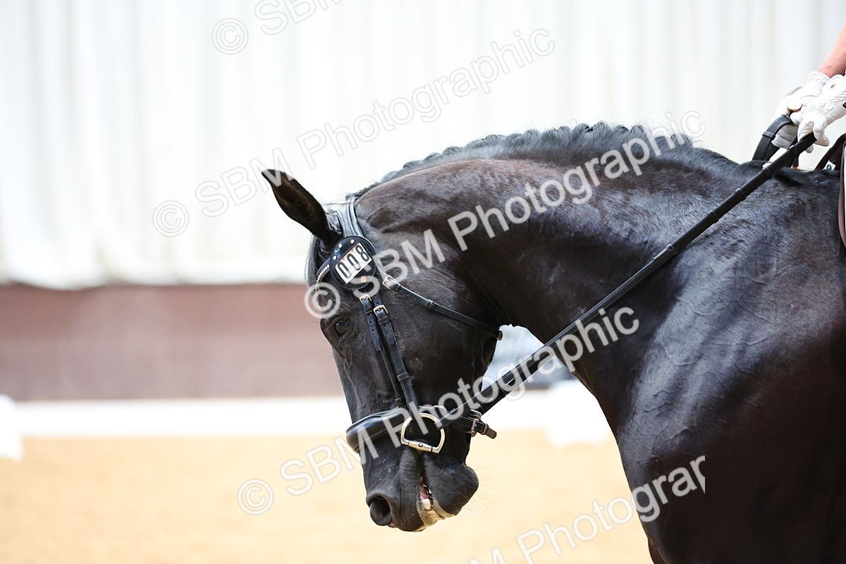 SBM_019217 - Class 6 - Ele FSM